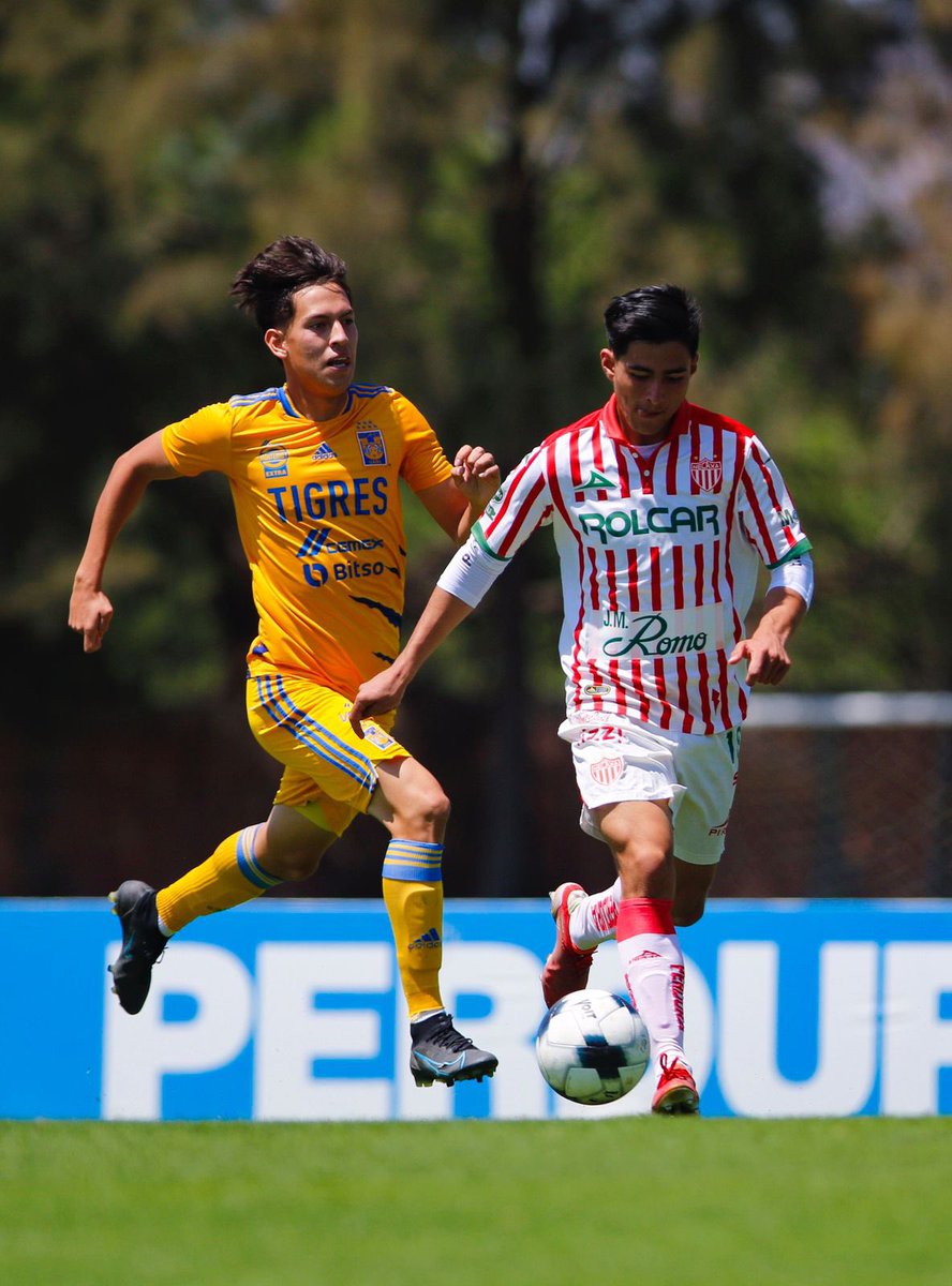 #Sub18LIGAMX | #NECvsTIG | 2-0 | Gran exhibición de los Rayos que se quedan con la victoria en Aguascalientes. Los goles fueron obra de Oliver Cruz y @Roger16636097 

#ContiGoNecaxa ⚡