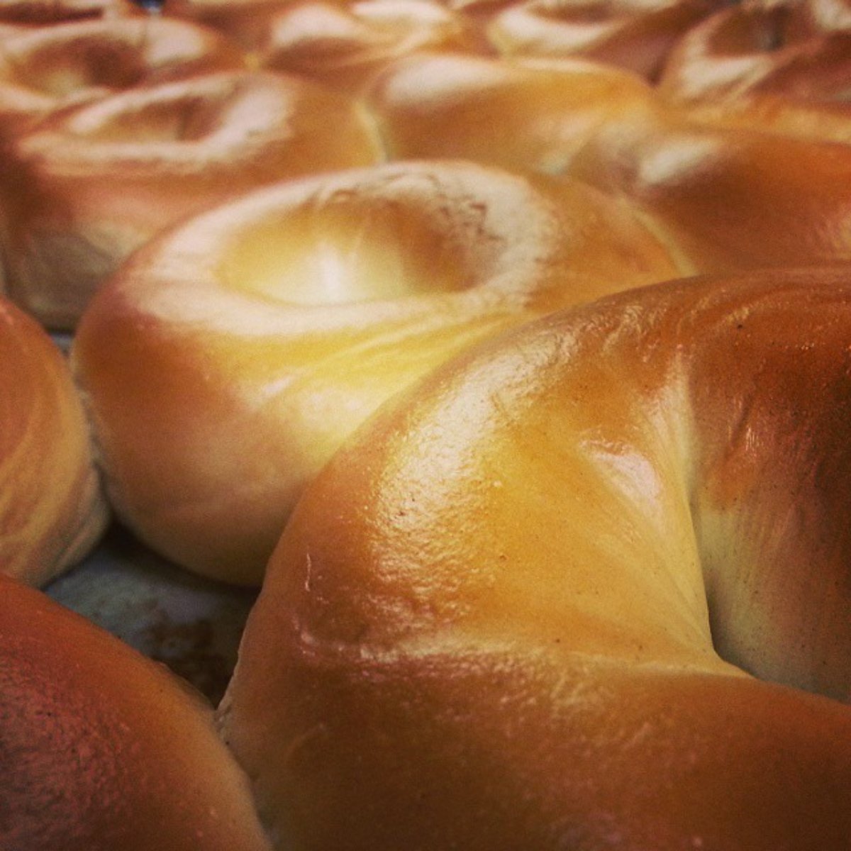 CapeCodBagels's tweet photo. Baked daily. Sold daily. Enjoyed daily. It doesn't get much fresher than that! https://t.co/WTWxj5CY1A