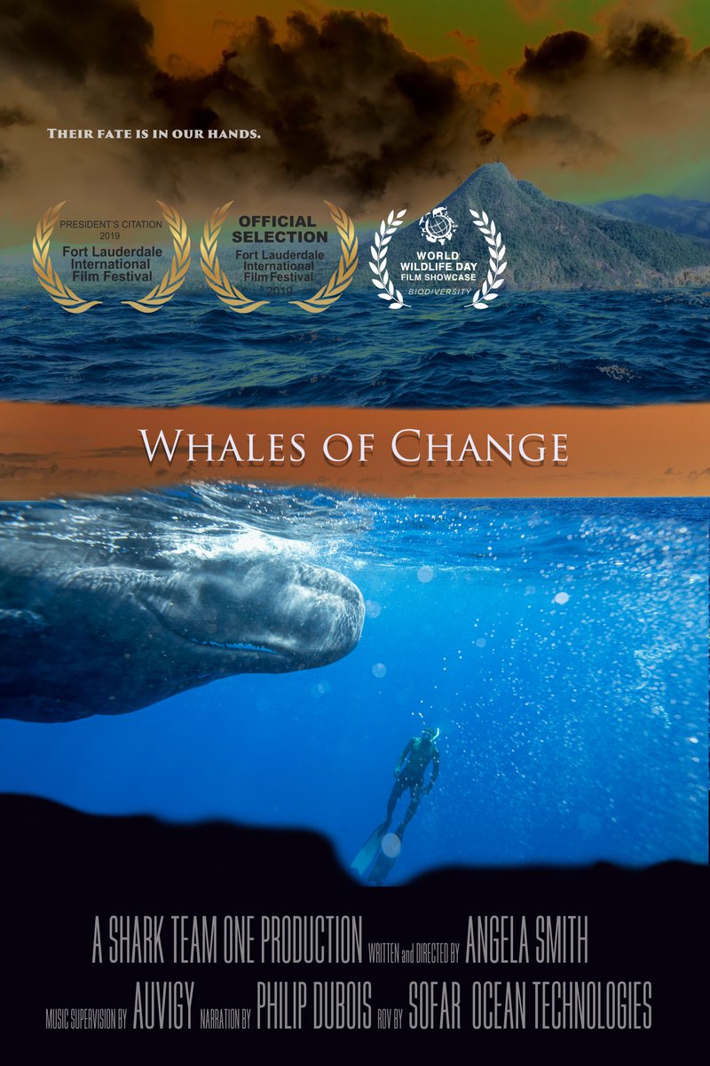 Proud to enter our film Whales of Change in the .@KeyWestFilmFest 📽️Love that they have a #Florida filmmaker category!😍Hope to see you there this November! Filmmakers enter the KWFF #EarthDay 🌎 deadline to join in! #WhalesofChangefilm #KeyWest #KeyWestFilmFest .@sharkteamone