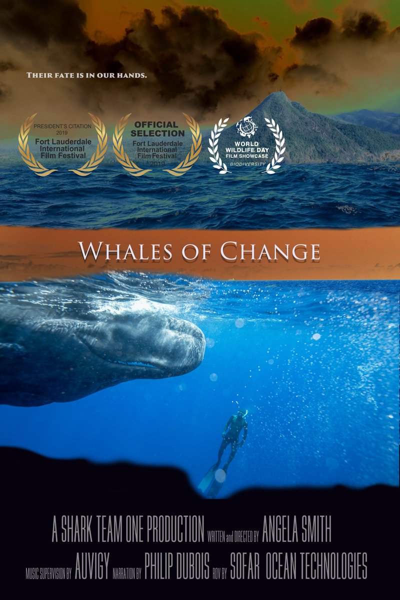 Proud to enter our film Whales of Change in the .<a href="/KeyWestFilmFest/">Key West Film Festival</a> 📽️Love that they have a #Florida filmmaker category!😍Hope to see you there this November! Filmmakers enter the KWFF #EarthDay 🌎 deadline to join in! #WhalesofChangefilm #KeyWest #KeyWestFilmFest .<a href="/sharkteamone/">Shark Team One</a>