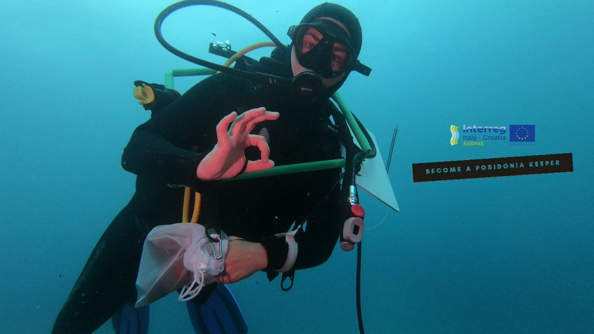 Do you know which common hand signals ensure safe #diving? Well, our divers know which ones are the best to show that the #seabed is under control. 👌🏼

🌱Have you become a #PosidoniaKepeer yet? 😄

#posidonia #scubadiving #seagrass
