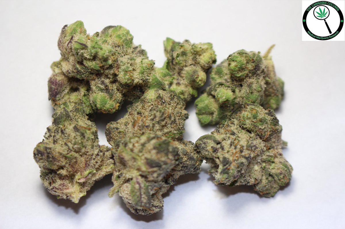 The Cannabis Column tweet media