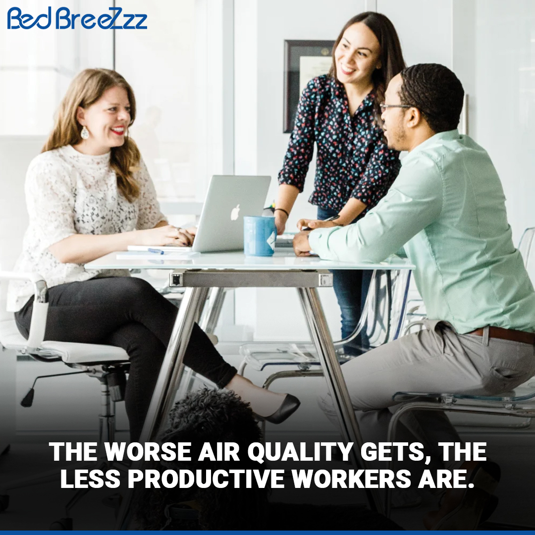 bedbreezzz's tweet photo. Our certification helps companies and #homeowners become #AirQuality  leaders, making the #environment of their facilities healthier &amp; secure. Contact us at getcertified@mybreezzz.com or visit our website at https://t.co/AhRtl9gAYk

#indoorairquality #employees #productivity https://t.co/1MyGwfppJ2