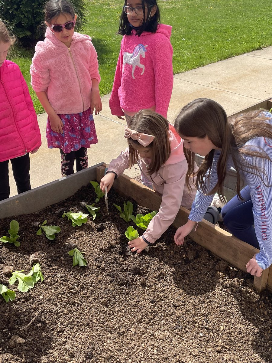 Bridge Valley Elem tweet media