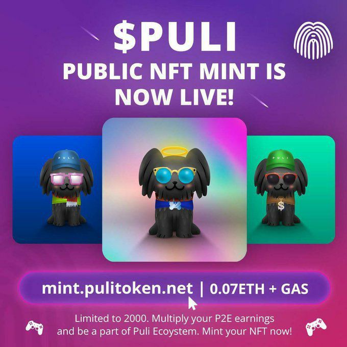 AbuNFTDirector's tweet photo. The @Puli_Token team just released their project 🔥 #P2E #play2earn #GameFi 🚨

Stunning Puli #Nfts Are Now Live For M i n t 🚀

💎0.07 Eth Per Mi n t🤳
     https://t.co/V2o2OegrSi

💥 Web: https://t.co/bUnNPfhc3h
💌More Info Join their Telegram:
      https://t.co/6PNtxuAdfw https://t.co/xXoiHjn8hK