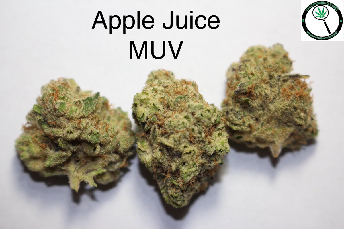 The Cannabis Column tweet media