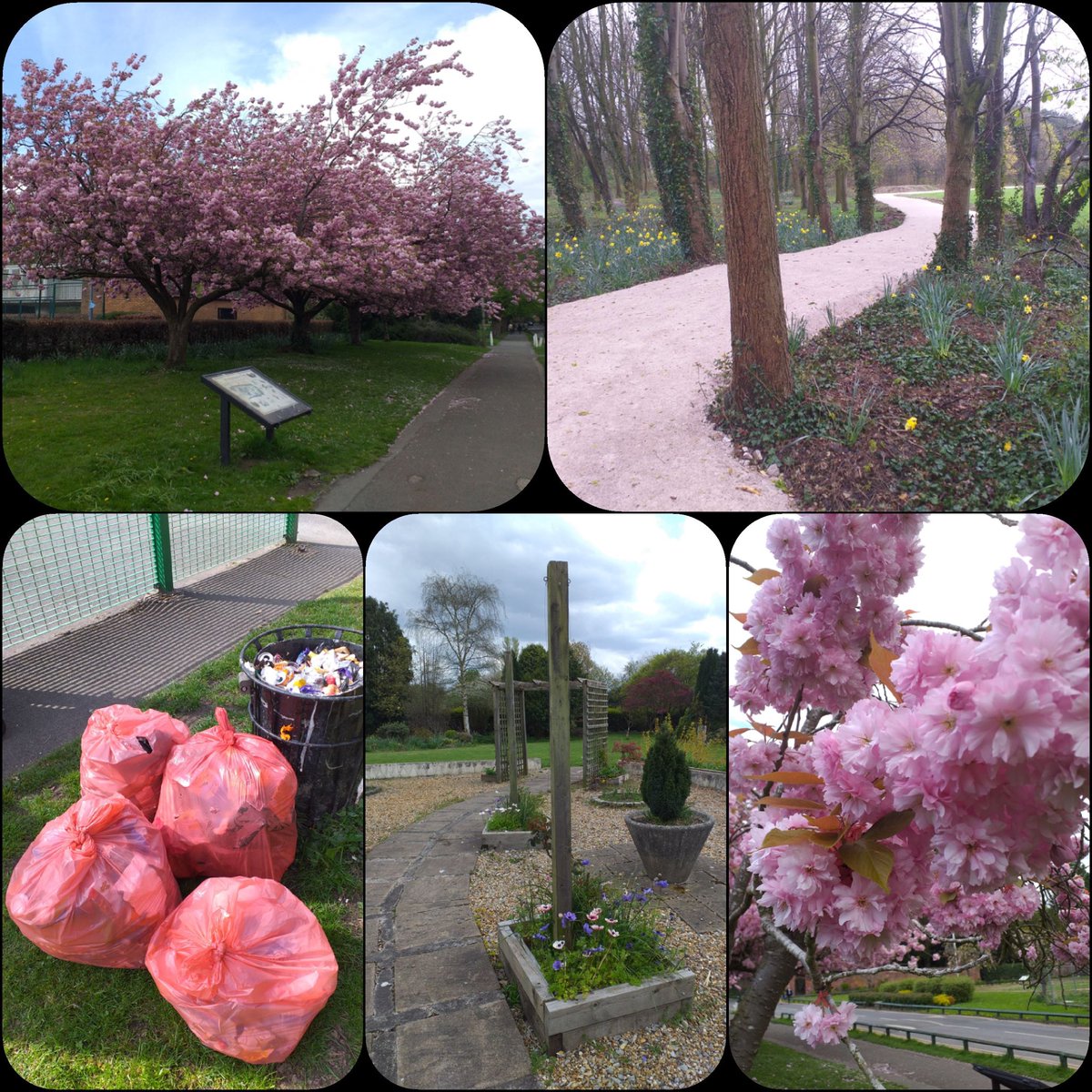 Heroes!
Undercover David writes:

“Litterpick in WP with the legend Marilyn.
10 bags of trash collected and flytip cleared.
Car park, playpark, picnic area and main fields.”

<a href="/WythParkFriends/">Friends of Wythenshawe Park (FoWP)</a> @CllrMaryM <a href="/ky1iew/">Kylie</a> @parks_great <a href="/ManCityCouncil/">Manchester City Council</a>