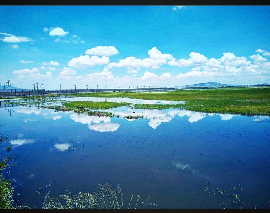 Comparte este #LagodeTexcoco para alivianar los calores 🔥

#YoPrefieroElLago #ManosAlaCuenca #México #waterprotectors