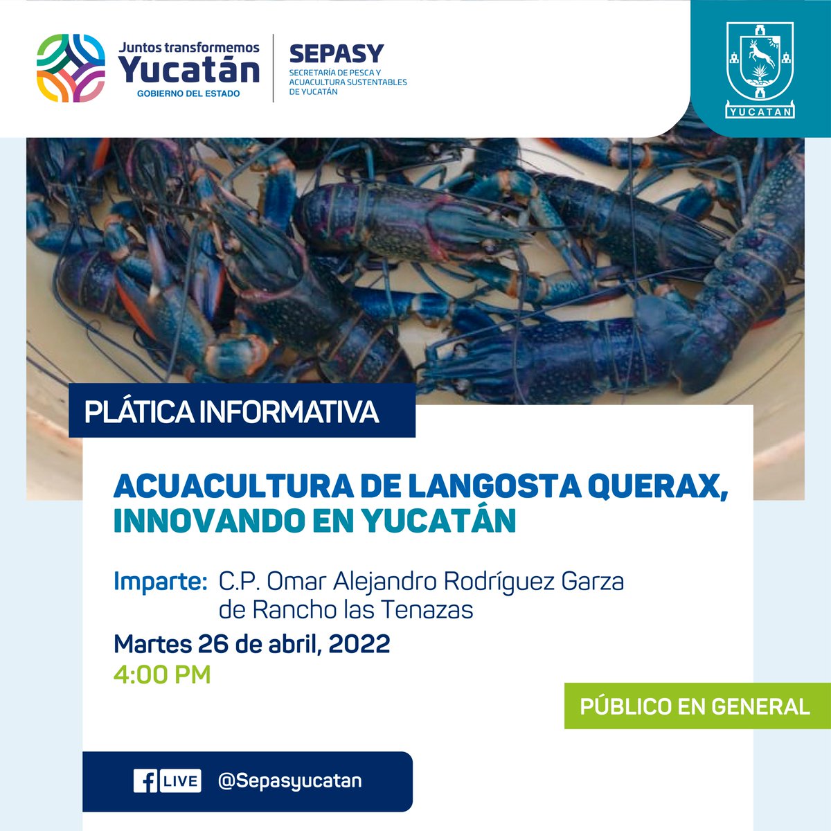sepasyucatan's tweet photo. Te invitamos a participar en nuestra plática informativa #virtual "#Acuacultura de #Langosta Querax, Innovando en #Yucatán", que impartirá el C.P. Omar Rodríguez Garza de Rancho las Tenazas, a través de Facebook Live.
¡Te esperamos!
✅Martes 26 de abril
✅4:00 p.m.
#Cherax https://t.co/ccl5iAvSad