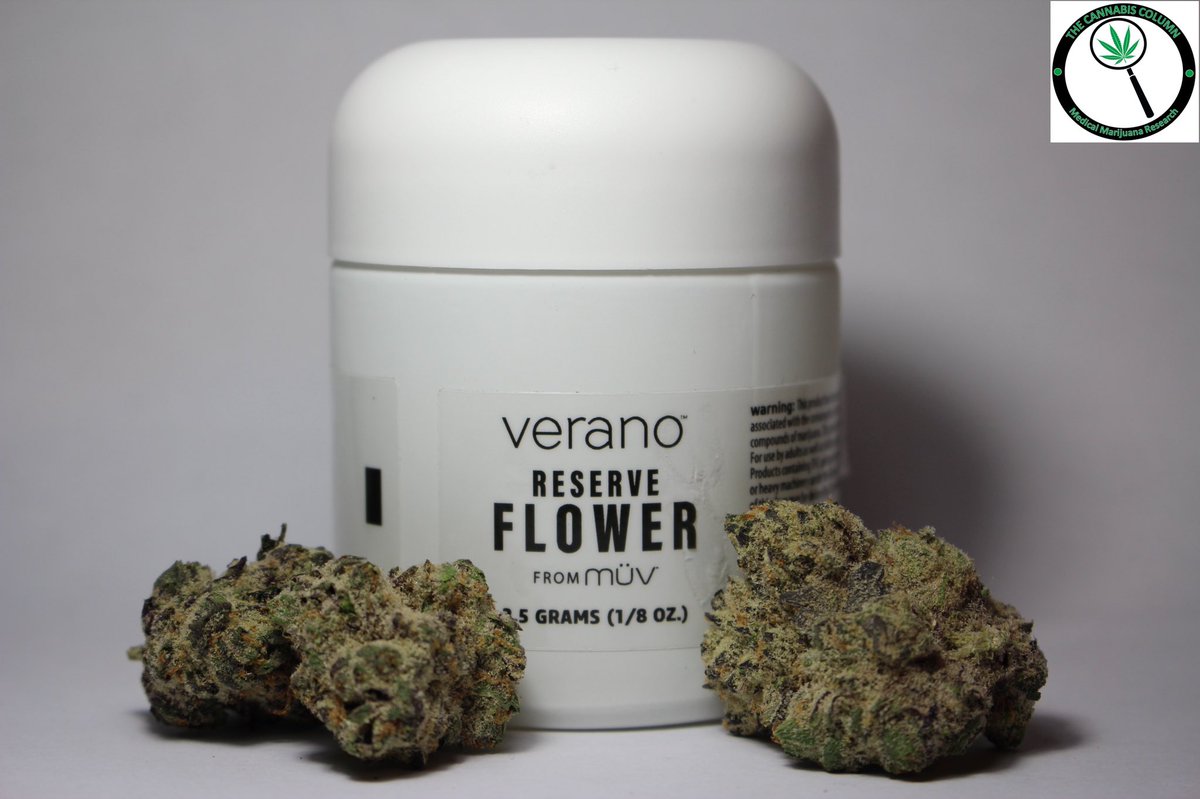 The Cannabis Column tweet media