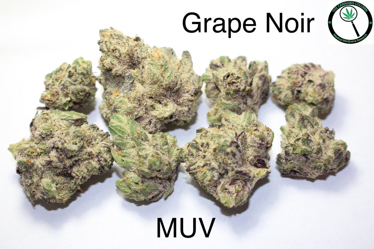 The Cannabis Column tweet media