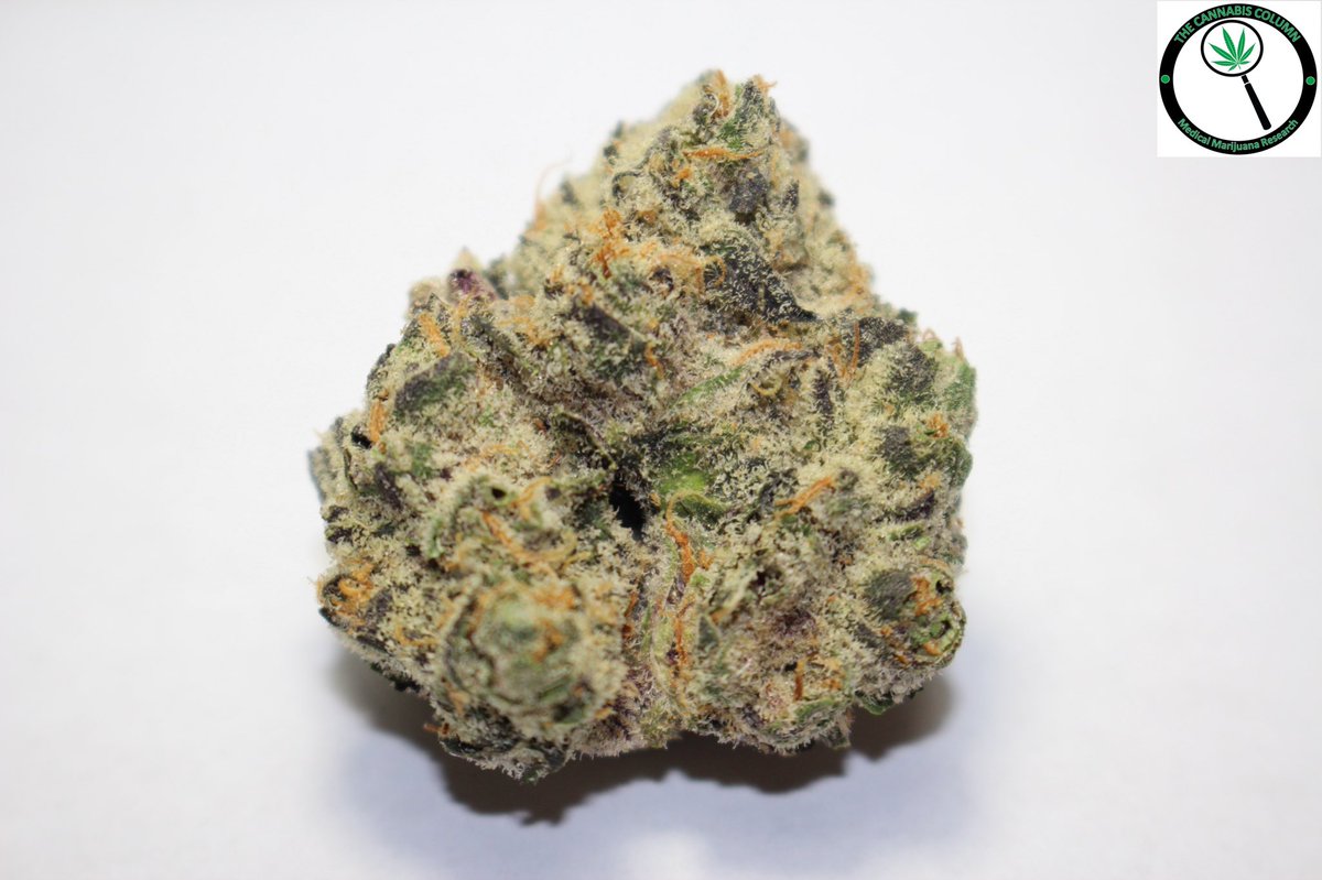 The Cannabis Column tweet media