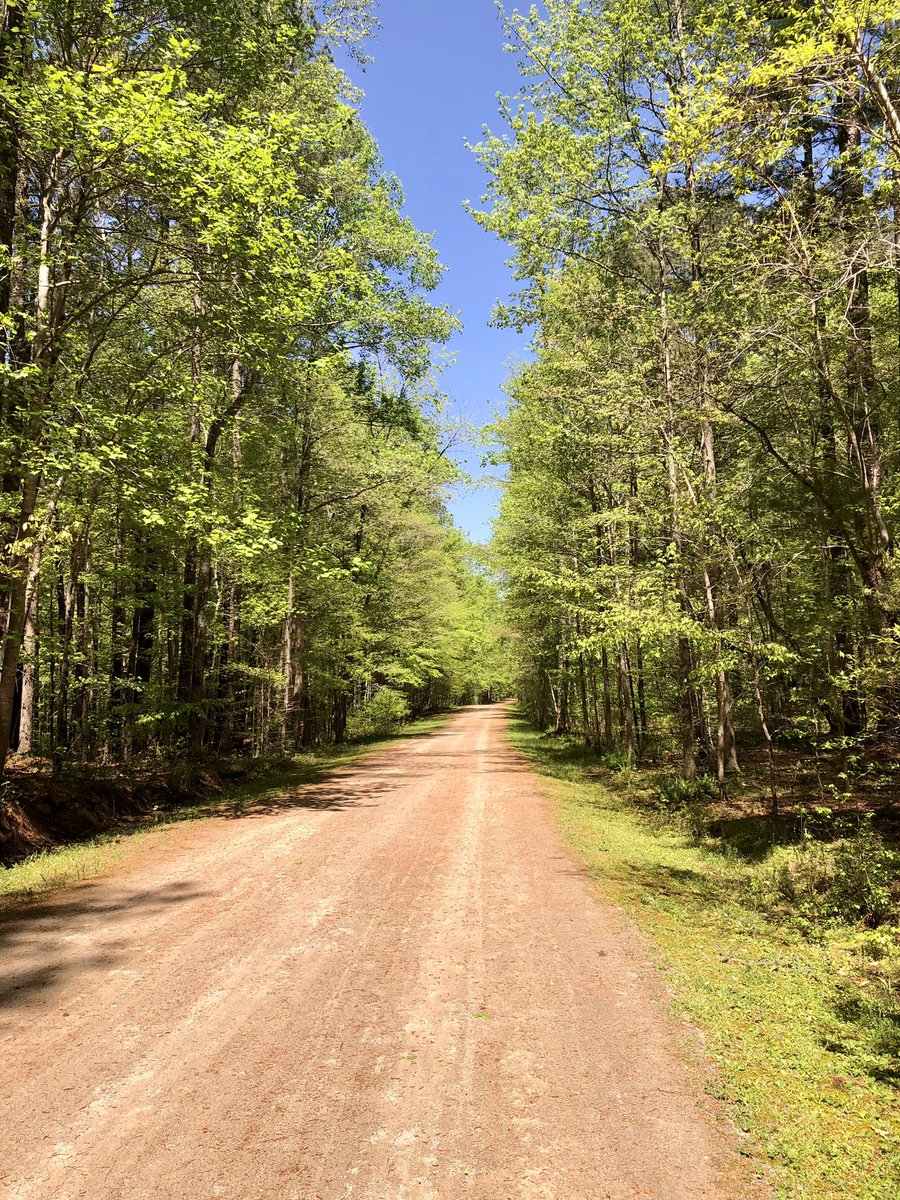 I have #UmsteadStatePark all to myself for my “conference walk” on this pretty day #WorkLifeBalance