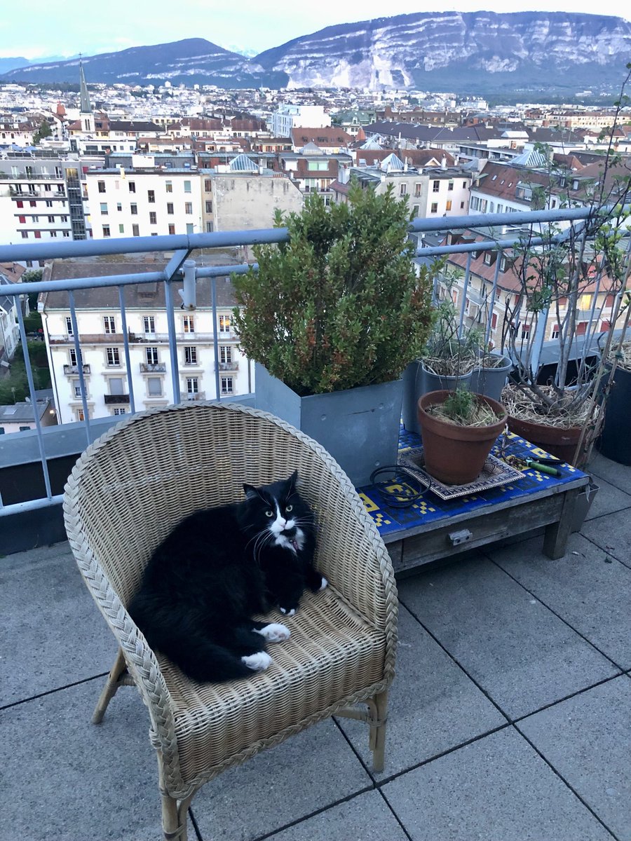 ChatMiles's tweet image. Emmanuelle 🔞