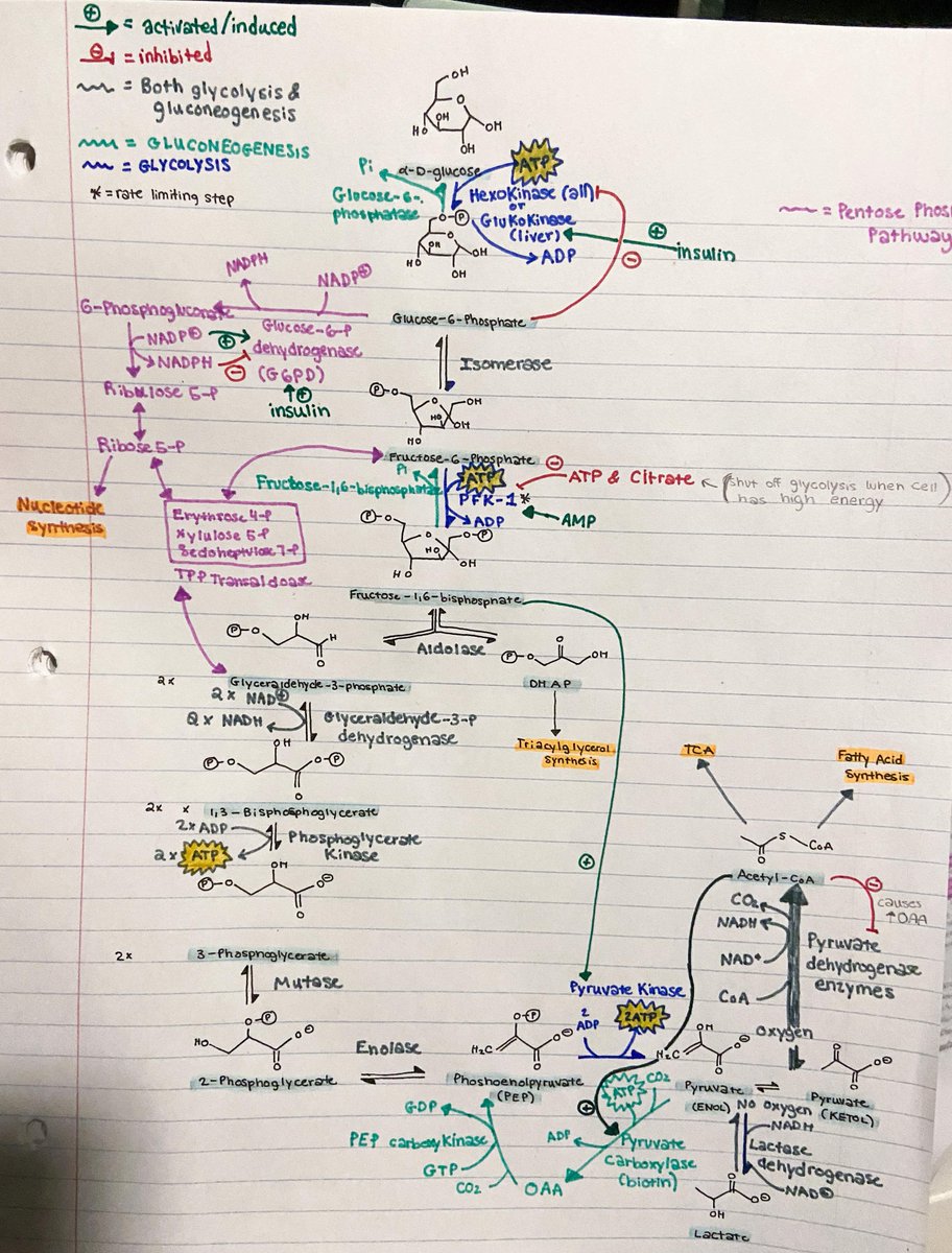 Your body can convert Protein &amp; Fat to glucose when needed, so Carbs aren't required by our body. If you're suffering bloating, fat gain, skin issues or inflammation. eliminate Carbs, watch these things improve &amp; then slowly introduce Carbs to find the tolerable/intolerable ones