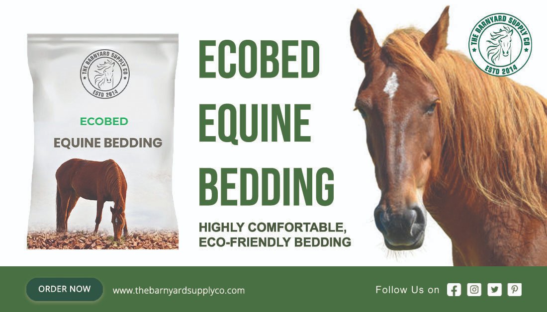 BarnyardSupply's tweet photo. EcoBed Equine Bedding assures a fully odor control, convenient disposable and absolute absorbance.

Shop now: https://t.co/EmX8qiJJEf

#equinepets #pethorse #horseofusa #barnusa #Equineusa #petsupplies #comfort #pets #equine  #Thebarnyardsupplyco #California #USA https://t.co/K3ImSHsDJJ