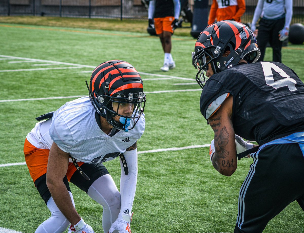 BigSkyFB's tweet photo. Gotta earn your stripes 😤

📸 @IdahoStateFB 

#ExperienceElevated https://t.co/HlPQDk3uGH