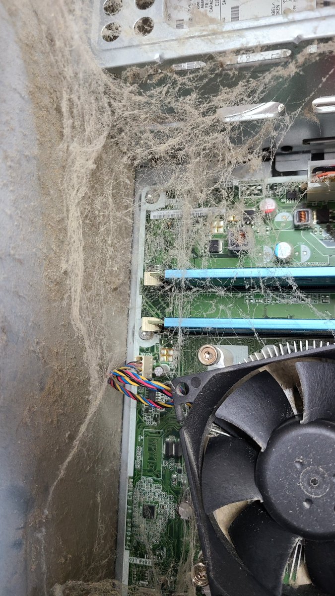 iluvmygeekllc's tweet photo. Last week we talked about dust clogging up the fan causing it to overheat. Having cobwebs inside your tower can also cause your computer to overheat and stop working.

When was the last time you had your computer cleaned? 

#offers #iluvmygeek #smallbusiness #pccleanup https://t.co/TD6dXQhlAj