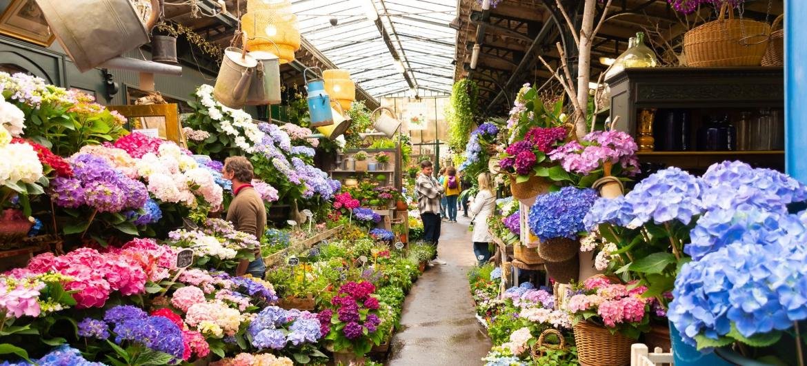 travelsecretsIN's tweet photo. Pretty Flower and Bird Market is located along the River Seine near Notre-Dame Cathedral
#Travelsecretsmagazine #1milliontravelsecrets #travelsecret #paristour #paris #france #paristourism #parissecret #pariscityguide #paristourguide #paristravel #tourparis #visitparis https://t.co/FbNIncgCRg