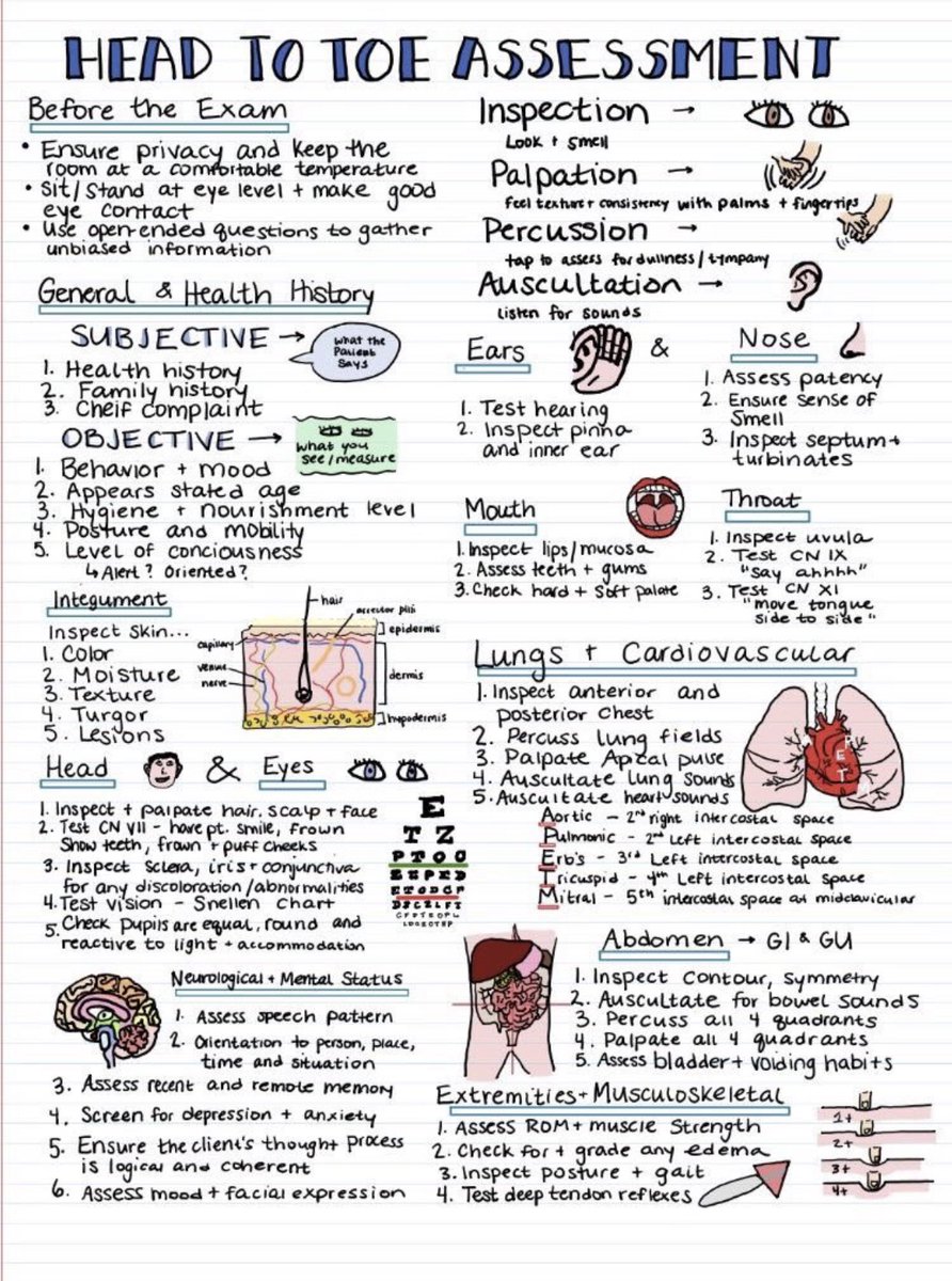 Medical_MD1's tweet image. Head To Toe Assessment 🧐

Useful for OSCE😍👌🏼

.