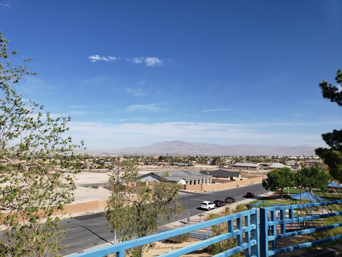 Annice Williams tweet media