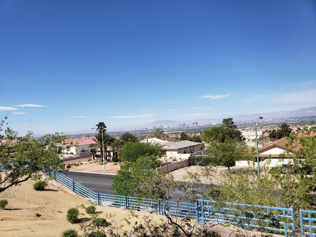 Annice Williams tweet media