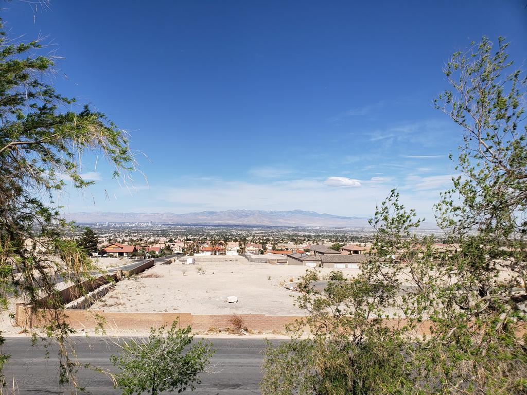 Annice Williams tweet media