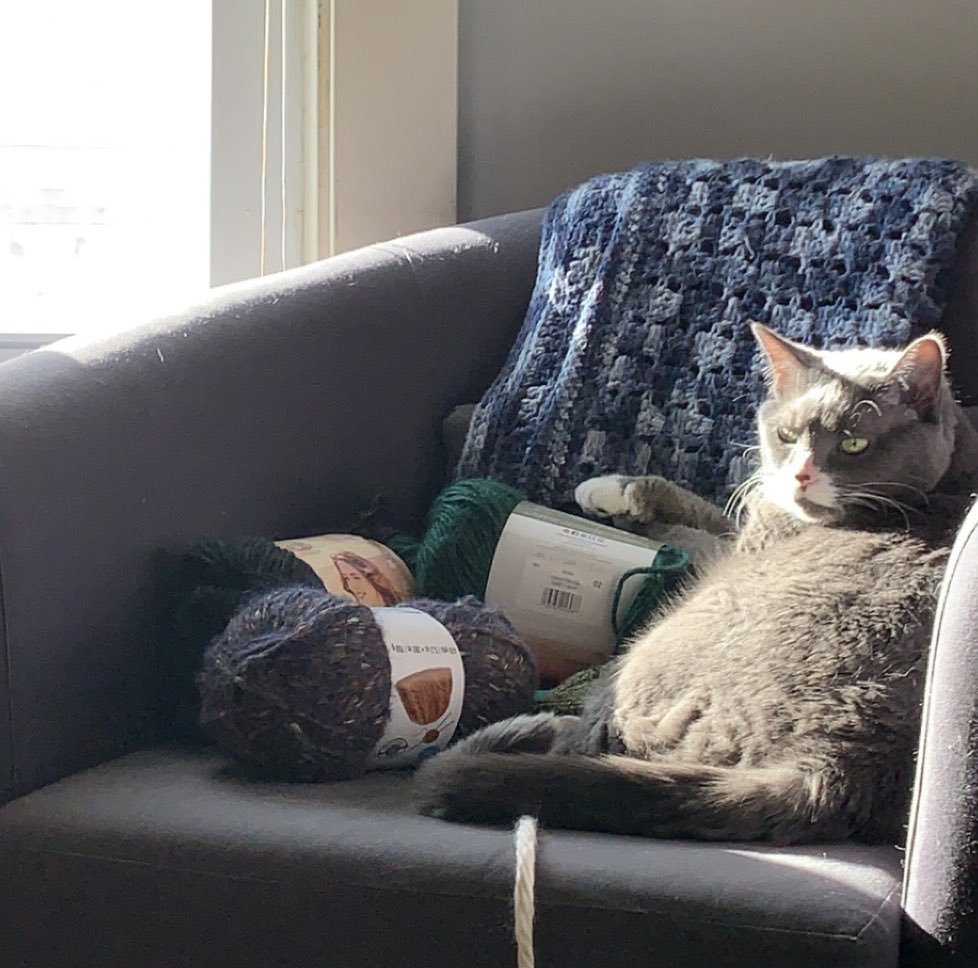 far🐱🌨👩🍳🍻🧶🧘♀️ tweet media