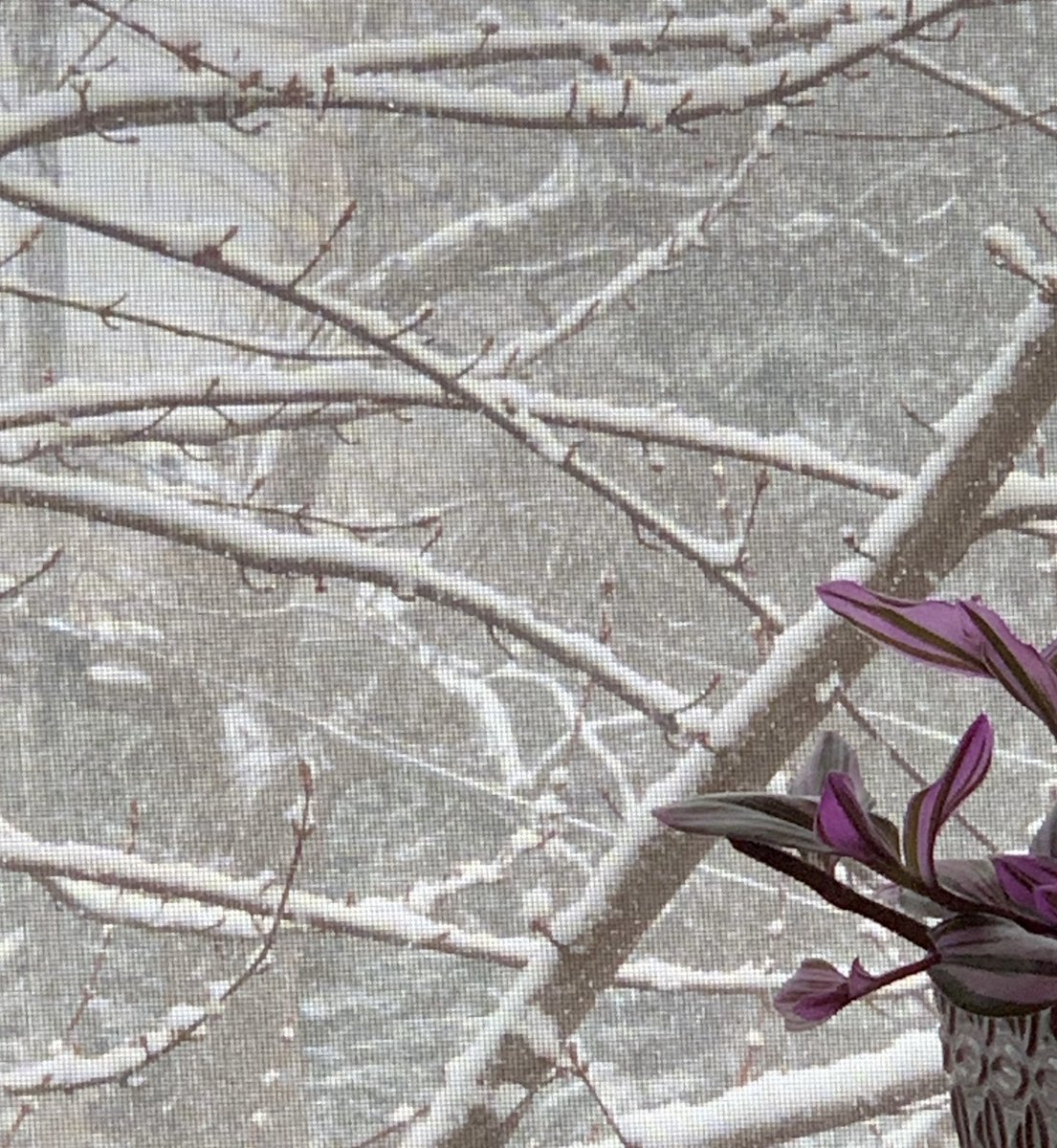 far🐱🌨👩🍳🍻🧶🧘♀️ tweet media