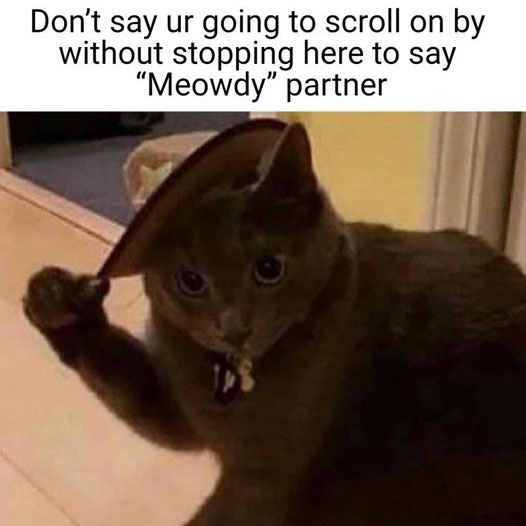 LushCatMemes's tweet photo. Meowdy!
😹🐈🐾
#lol #funny
#cats #catlover #catoftheday
#memes #memesdaily #funnymemes https://t.co/0V4W1akoxn