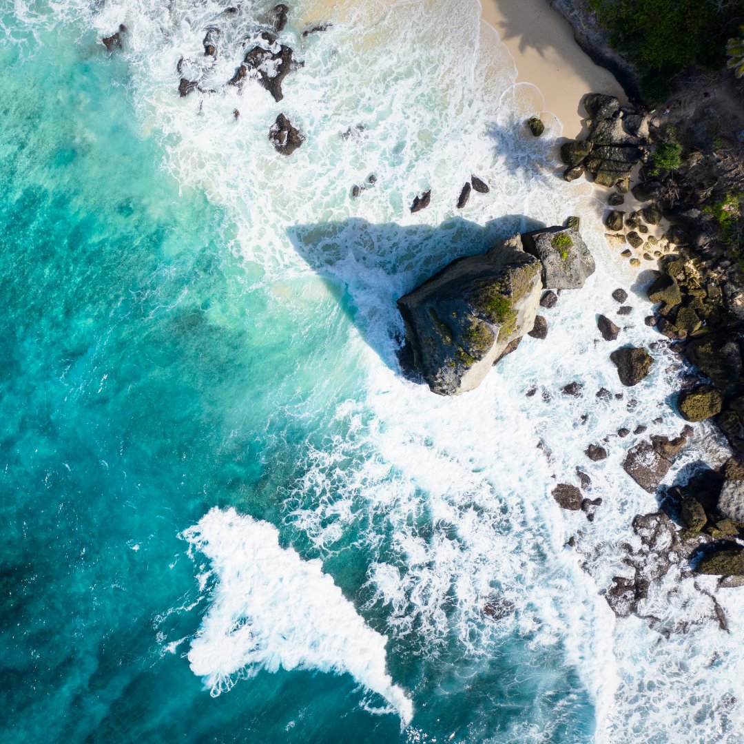 CasaLomaLB's tweet photo. Splish splash 💧⁠
⁠
⁠
⁠
⁠
⁠
⁠
#beachlife #wavecrash #californiadreams https://t.co/LtuIEu4uoP
