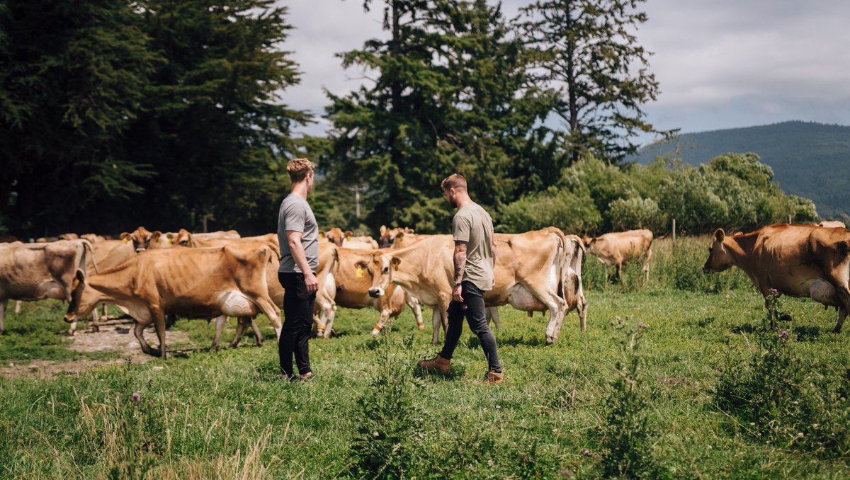 PROMIX Nutrition tweet media