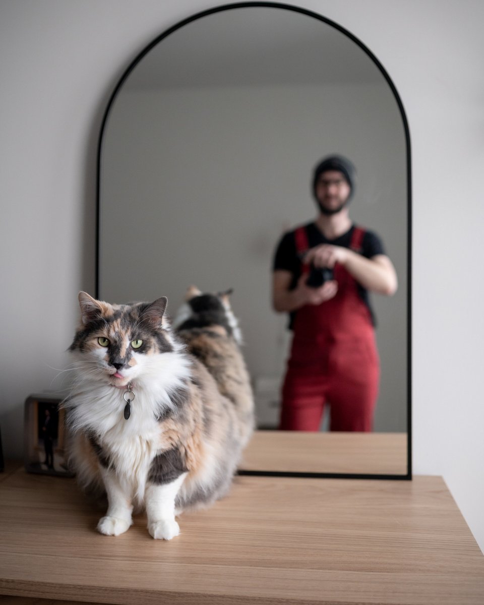 rawrycat's tweet photo. Happy National Cat Lady Day! Rawry's dad may not be a lady, but Rawry sure is! How are you celebrating?
.
.
.
#rawrycat #nubclub #catsofinstagram #cutecat #petsofig #rescuecats #cutecatsofinstagram #cutecatsclub #cutecatpics #catsonly #petsathome #catsforlife #rescuecatsofinsta https://t.co/0KA02Jq2rN