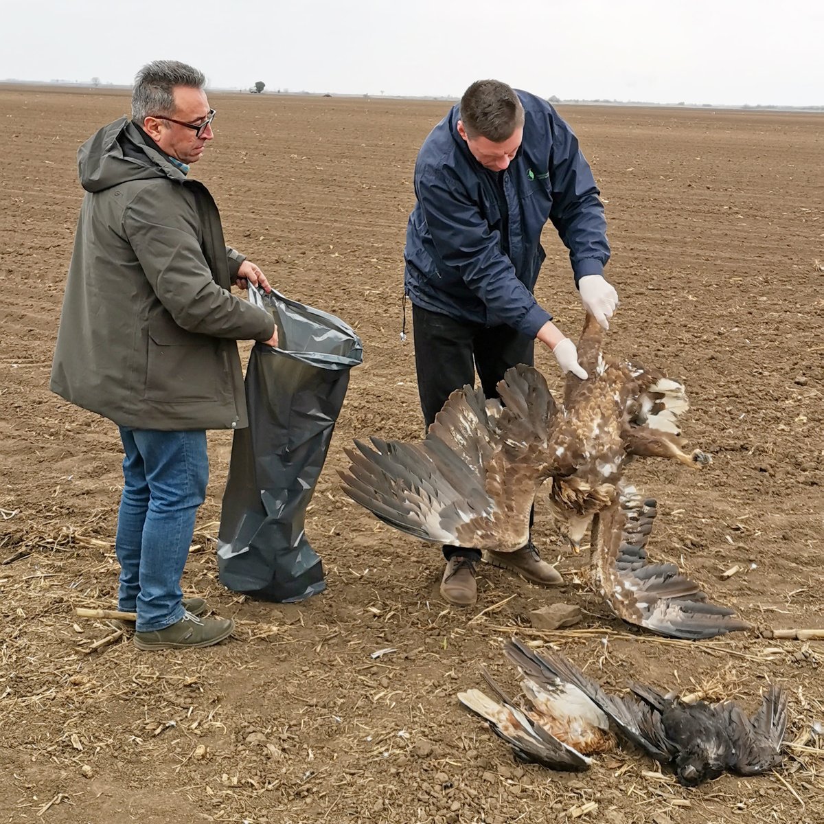 BirdLifeSerbia's tweet photo. ‼ Izvinjavamo se zbog prekida programa ‼

Izvinjavamo se što iz našeg Društva prethodnih dana dolazi više loših nego dobrih vesti. Izvinjavamo se pticama što u ljudskim zajednicama žive zli, podmukli, neprosvećeni. https://t.co/TiVAyOSdLU