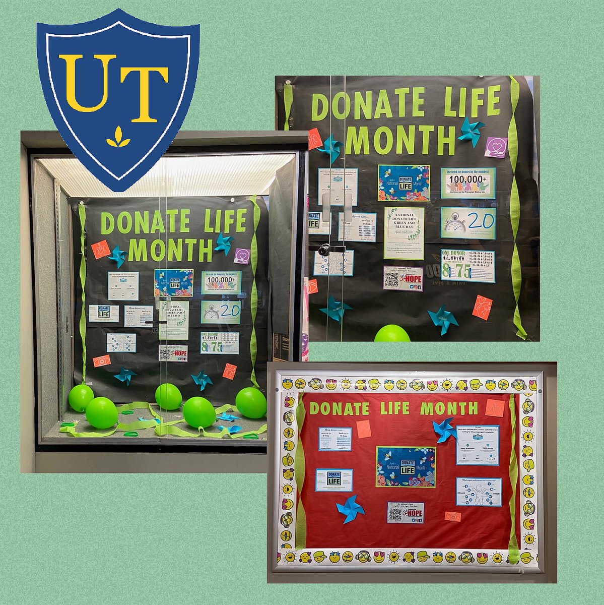 MaddogStrong's tweet photo. The University of Toledo Students for H.O.P.E. Chapter did an amazing job decorating their campus for #DonateLifeMonth and Blue and Green Spirit Week! This is organ donation advocacy in action! @donatelifeamerica
#MaddogStrong #studentsforhope https://t.co/3ucUg9HFz4