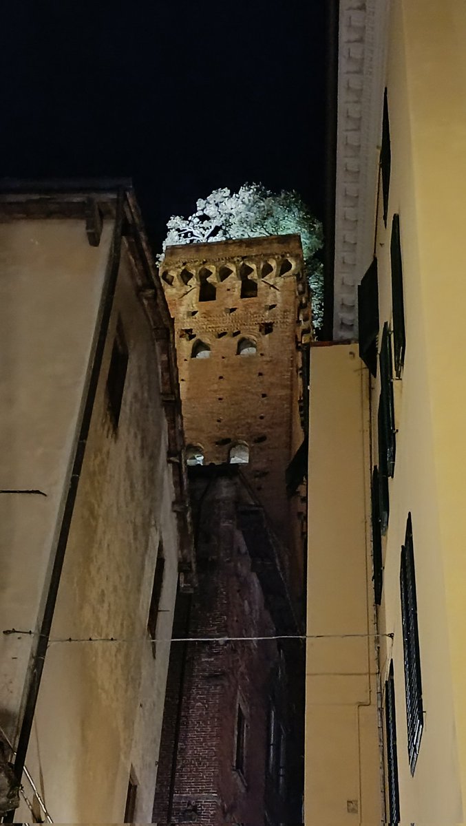 Damian_leblume's tweet photo. En #Lucca, #Italia, hay una torre de 44m construida con ladrillos de barro que tiene 7 encinas plantadas en lo alto. Data de la segunda mitad del siglo XIV y se ha convertido en uno de los elementos más icónicos de la ciudad.
#torreguinigi #barroyvegetacion https://t.co/SQShQzEINW