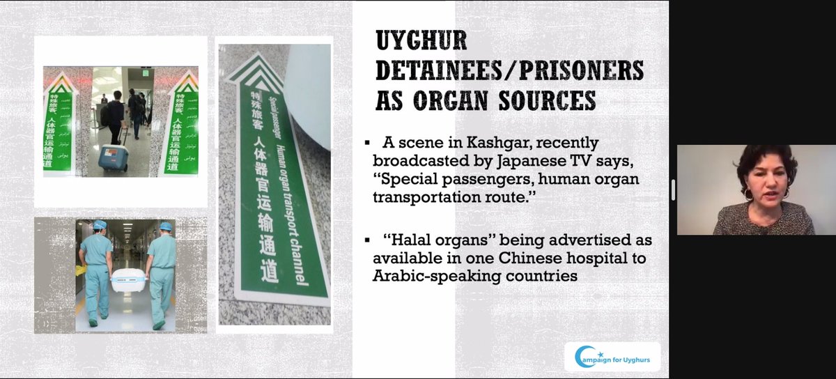 CUyghurs's tweet photo. LIVE TWEET
"DNA collection and the house check medical check. We were not sure what was that for, And then, later we started to see halal organs being advertised in some of the Chinese hospitals in Arabic speaking countries"
#HalalOrgans
@RushanAbbas @HolocaustCtr https://t.co/V3ndbzrUqC