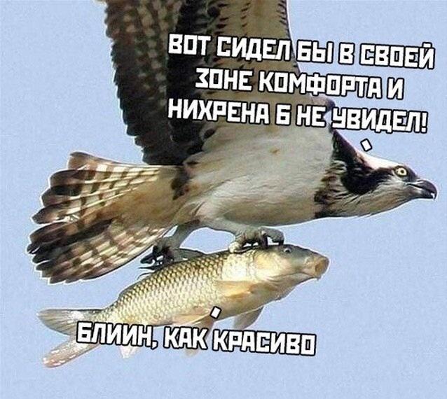 Вестник психиатрии (@psycho_vesti) on Twitter photo 