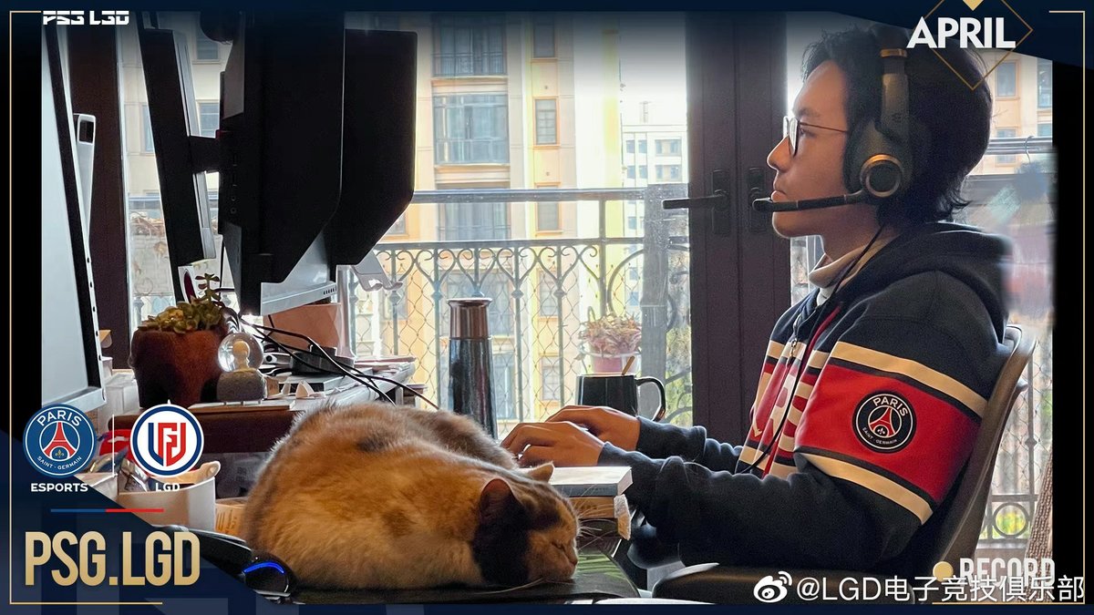 JINSue_JS's tweet photo. LGD Weekly Weibo Update

p1. Captain  y` was ready for the match against LBZS.
p2. Faith_bian and his 🐈 Gun Gun

cr. https://t.co/EKryEzW02G https://t.co/jBWsbkzwXq
