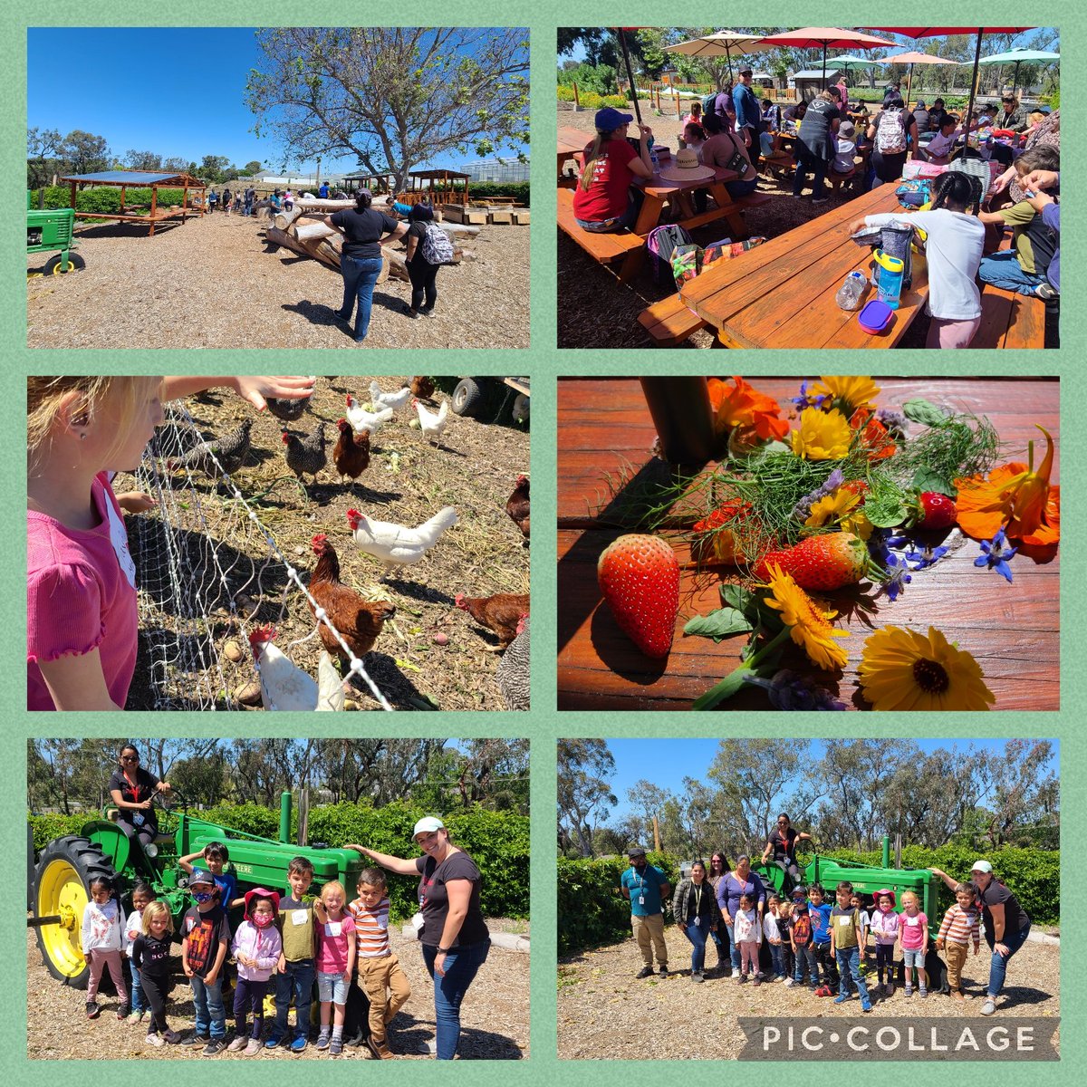 Mayra Acosta (@macosta52) on Twitter photo What an amazing experience <a href="/coastalrootsca/">Coastal Roots Farm</a>! We are so thankful for everything! #fieldtrip #smiles #handsonlearning #STEMeducation <a href="/JKniseley1/">joe kniseley</a> <a href="/Mrs_Enriquez_5/">Monica Enriquez</a> <a href="/FUESDSchools/">FUESD Schools</a> <a href="/FallbrookStem/">Fallbrook STEM Academy</a> What an amazing experience <a href="/coastalrootsca/">Coastal Roots Farm</a>! We are so thankful for everything! #fieldtrip #smiles #handsonlearning #STEMeducation <a href="/JKniseley1/">joe kniseley</a> <a href="/Mrs_Enriquez_5/">Monica Enriquez</a> <a href="/FUESDSchools/">FUESD Schools</a> <a href="/FallbrookStem/">Fallbrook STEM Academy</a>