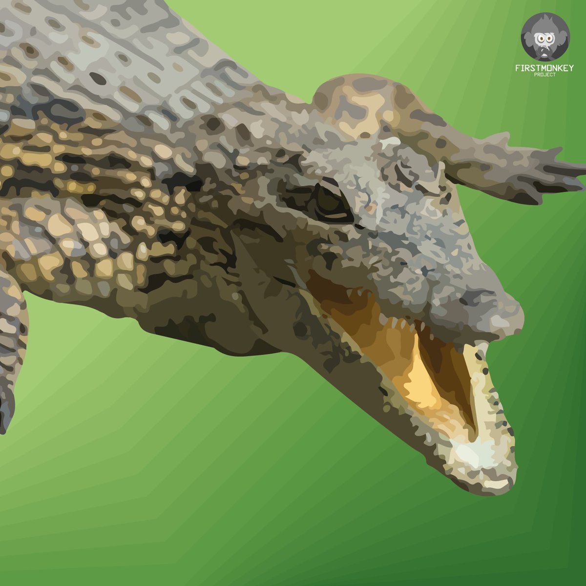 Firstmonkeynft's tweet photo. Crocodile are at risk of extinction.
You see me now is a collection of 250 amazing animals created by way of protest.
#NFTs #opensea #NFTCollection #NFTCommmunity #ETH #NFT #firstmonkey #YSMN
Available on @opensea
Discord: https://t.co/91PDKojnBi https://t.co/U39HJZmLrb