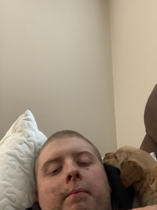 terrideflumeri's tweet photo. the man who didn’t want the dog: https://t.co/925xrEiBNQ