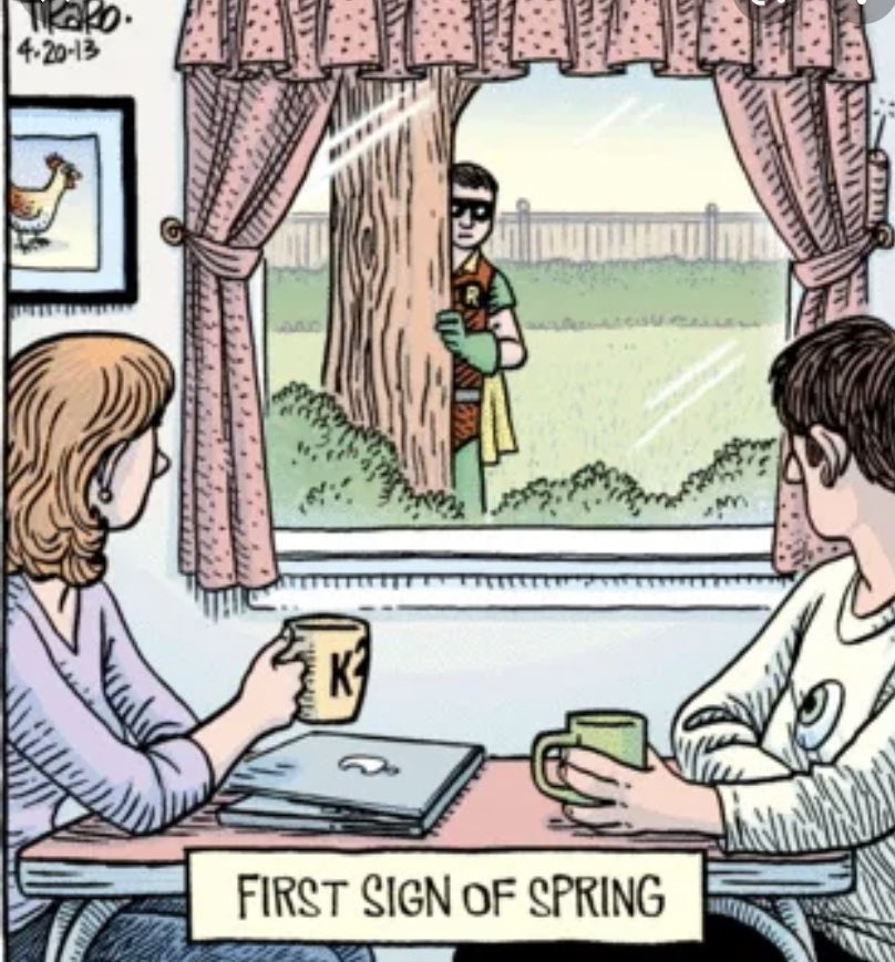 VoxMerus tweet media