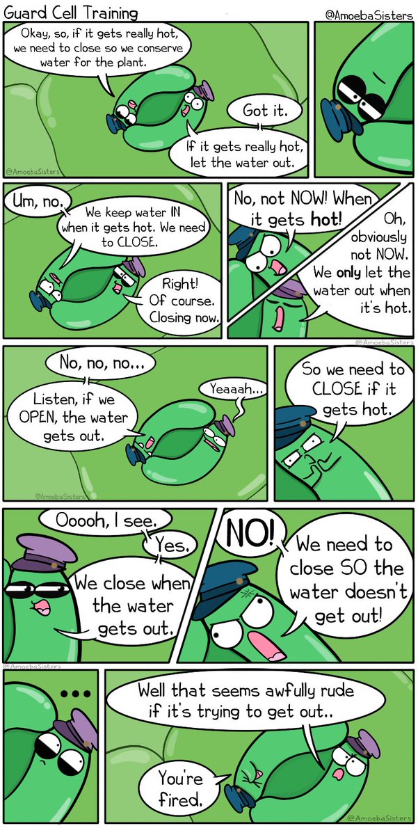 Just another grueling day opening and closing stomata on the underside of a leaf.
#scicomm #sciart #biology