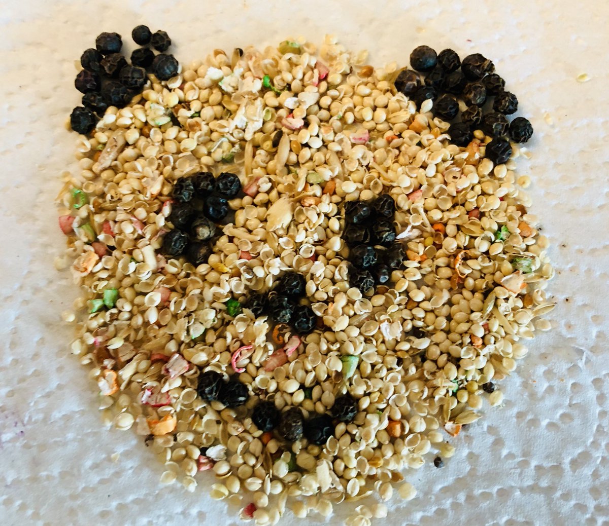 Panda face made of seeds.