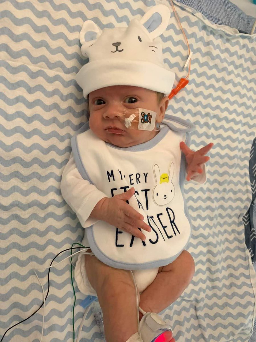 rlibzz's tweet photo. Lil mans in his first Easter outfit i got him😭 i am such a proud auntie legit never loved a lil human bean so much in my life https://t.co/dnsZWNflzY