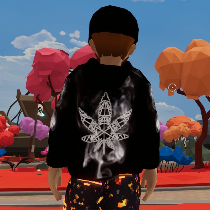 Rare chance at a free hoodie, only 100 total supply!