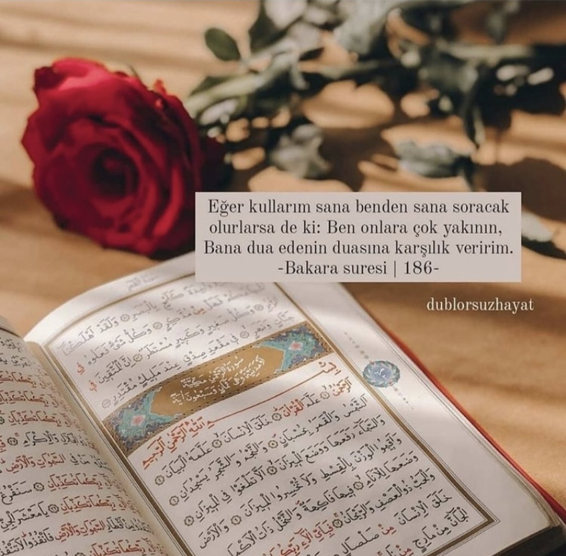 Mustafa66918162's tweet photo. “”Her şey için
ÖğünüLecek bir üstünLük vardır.
Ümmetimin kıymeti
ve Şerefi,
Kur’ân-ı Kerimdir.”
(H.Ş.)
Rabb’im!
Kur’ân Ayımızı bizLere
HayırLı feyizLi mübarek kıLsın
Kur’an-ın Hadimi Şefaatçisi
Okumamızı
EksikLeriyLe kabuL eyLesin
BereketLi SahurLar
#HuzurLuNurLu
SABAHLAR
Âmin https://t.co/4PPVWYYbFP