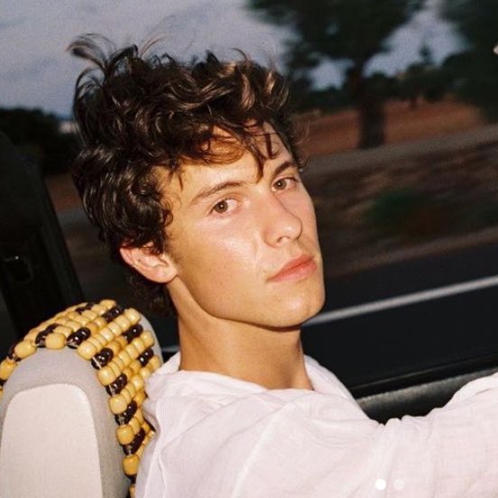 Pop Crave on Twitter "Shawn Mendes opens up to fans in newly shared(02)