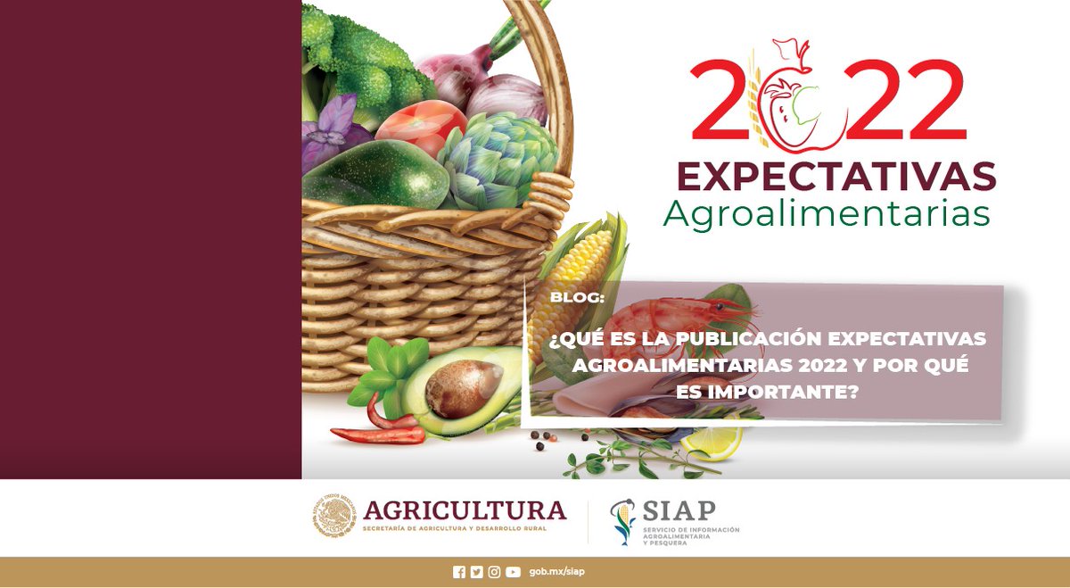 DGSIAP_Mx's tweet photo. #BlogSIAP La importancia de la publicación, radica en el hecho de que numerosos actores del sector agroalimentario y de políticas públicas, utilizarán estas expectativas para planificar, reducir y mejorar la asignación de sus recursos.
Lee: https://t.co/n2X5hAU16P https://t.co/xpYTW9hdNS